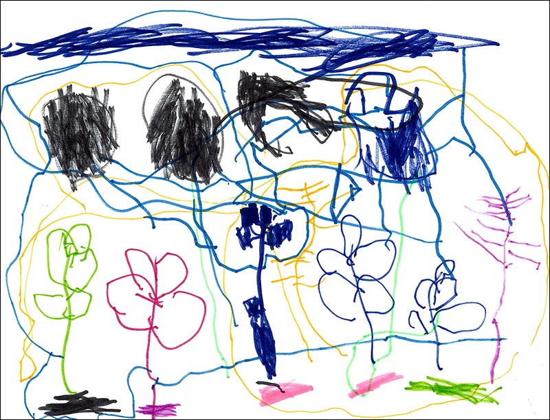 Picture by Sawyer W
