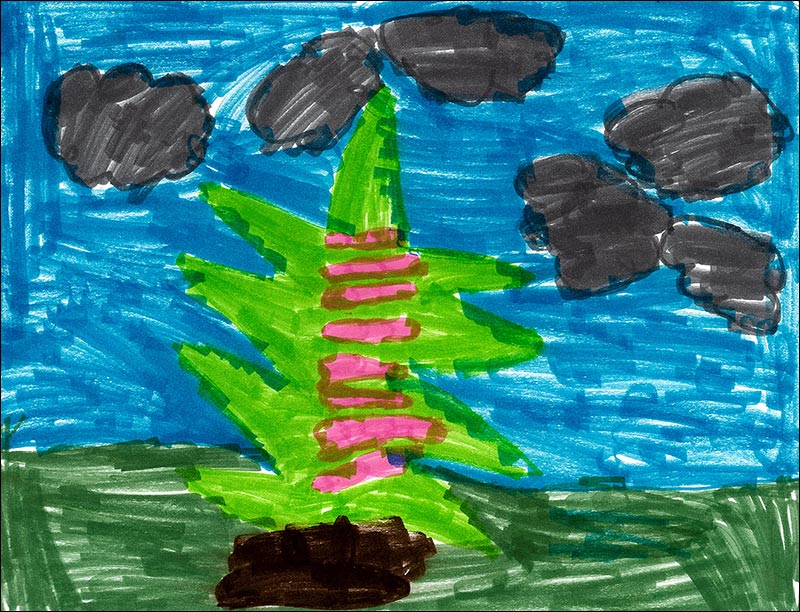 Picture by Taylor W