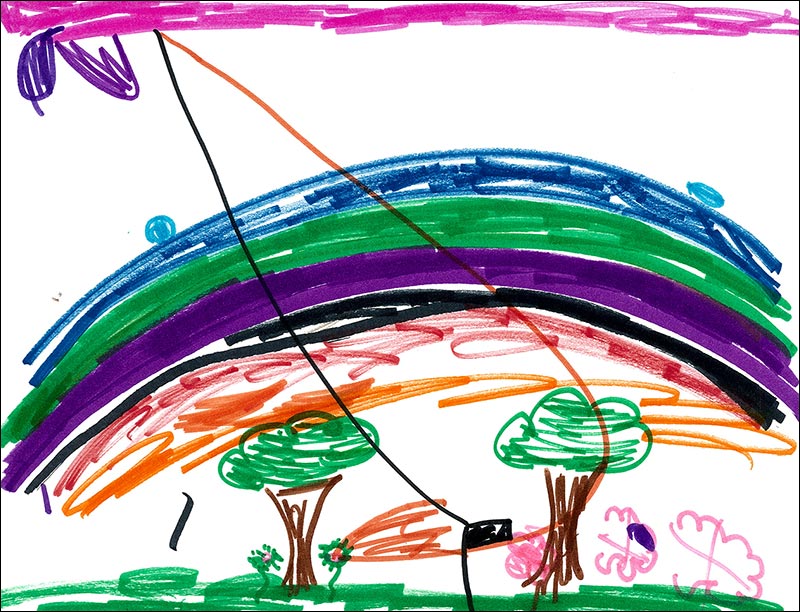 Picture by Maddox W
