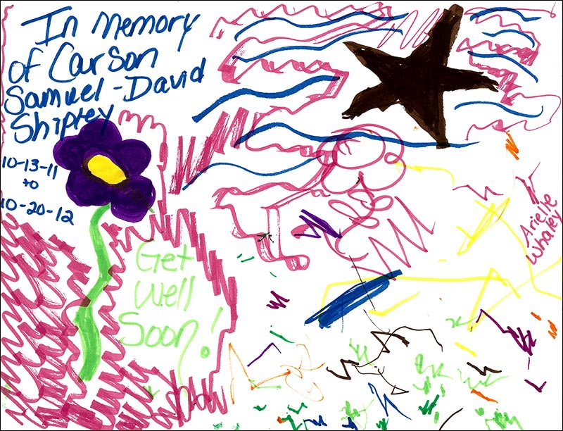 Picture by Arielle W