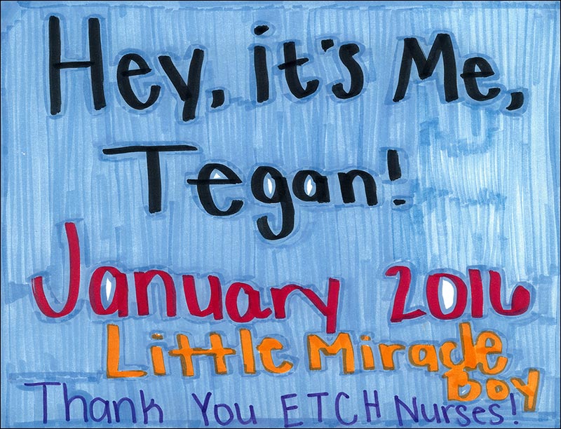 Picture by Tegan W