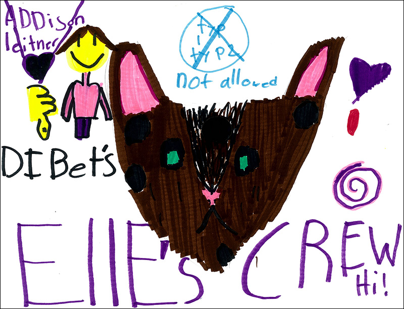 Picture by Addison L
