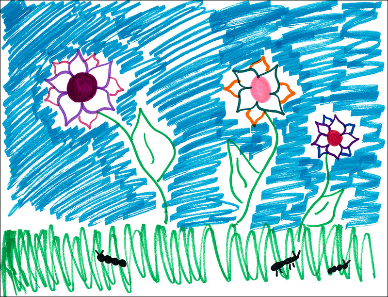 Picture by Olivia H