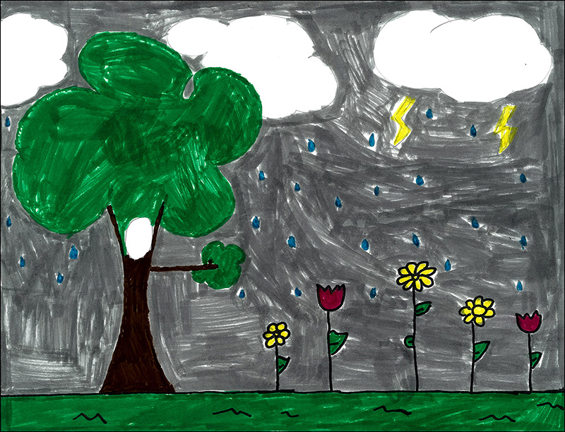 Picture by Amya B